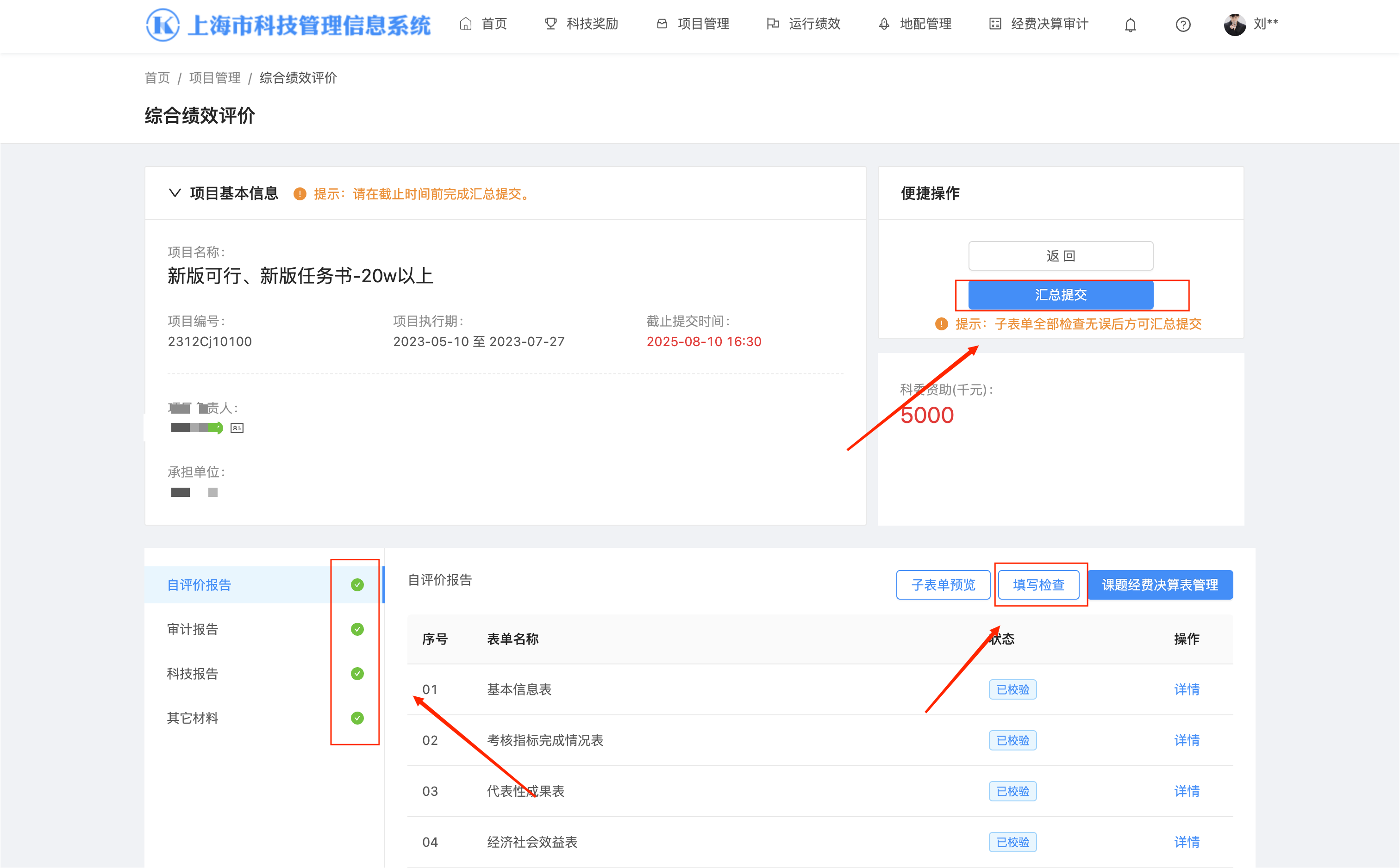 项目提交页面